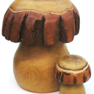 Pilze